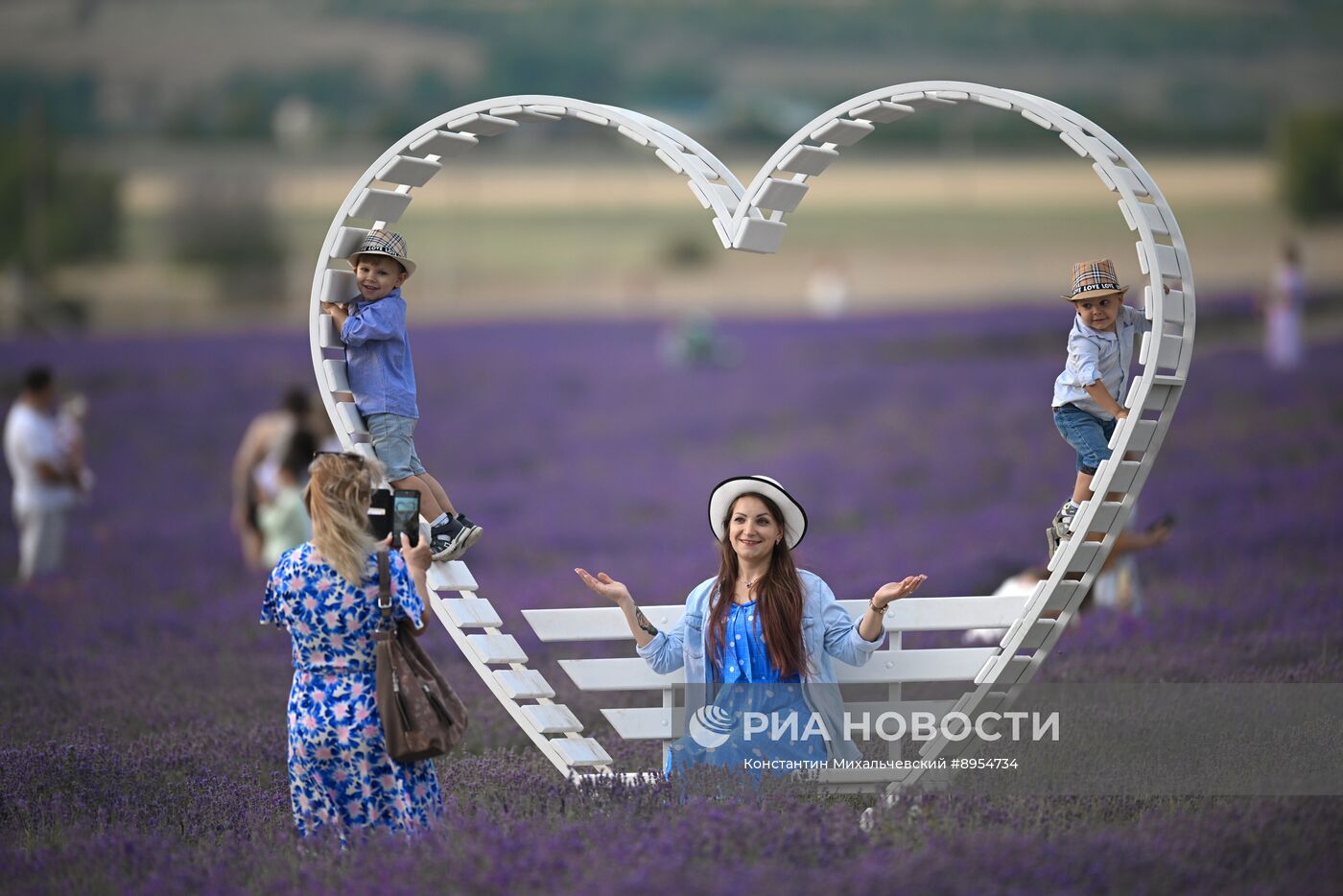 Лавандовые поля в Крыму