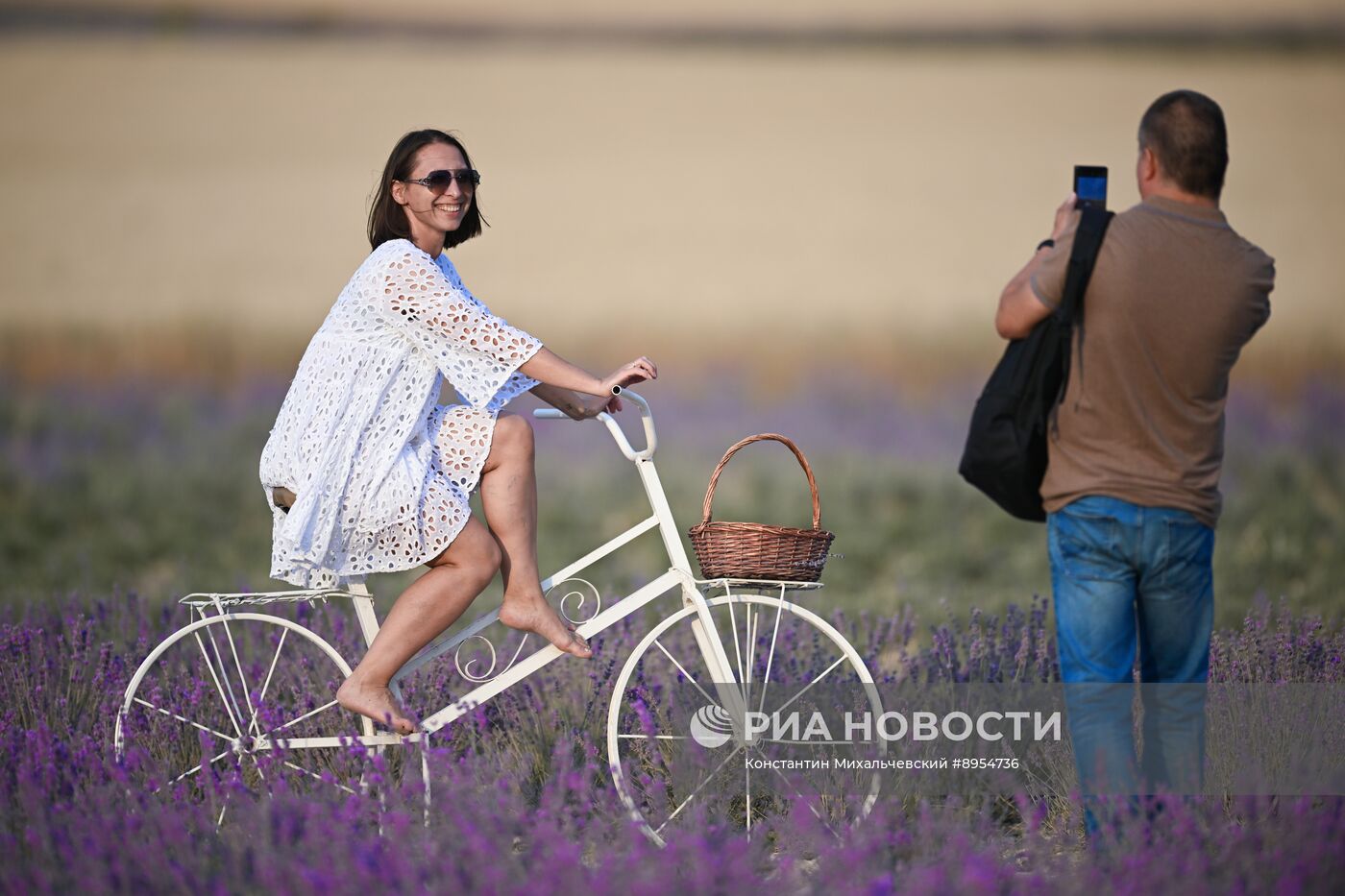 Лавандовые поля в Крыму