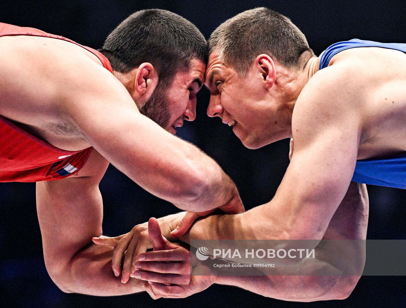 Чемпионат России по вольной борьбе среди мужчин