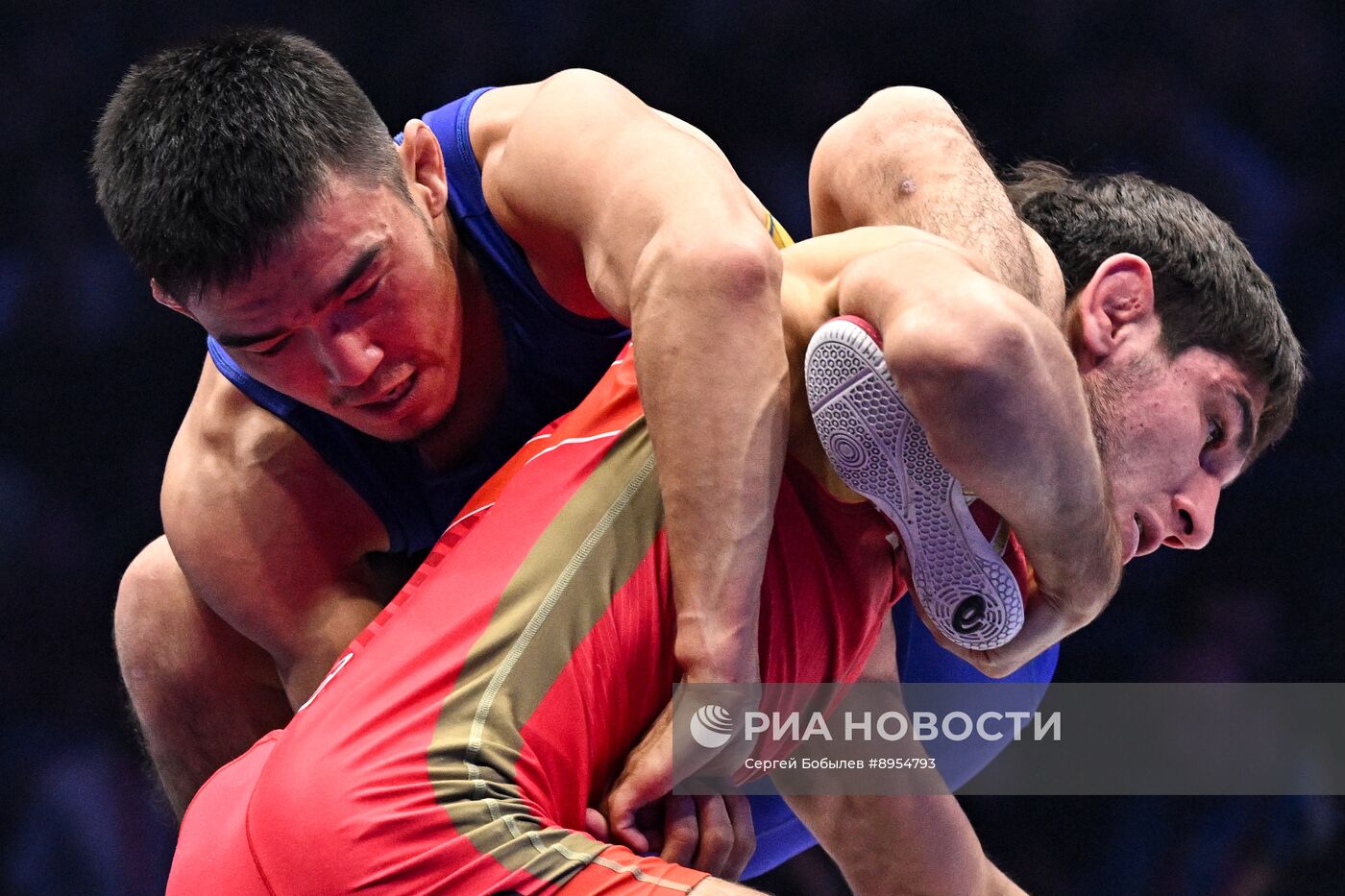 Чемпионат России по вольной борьбе среди мужчин