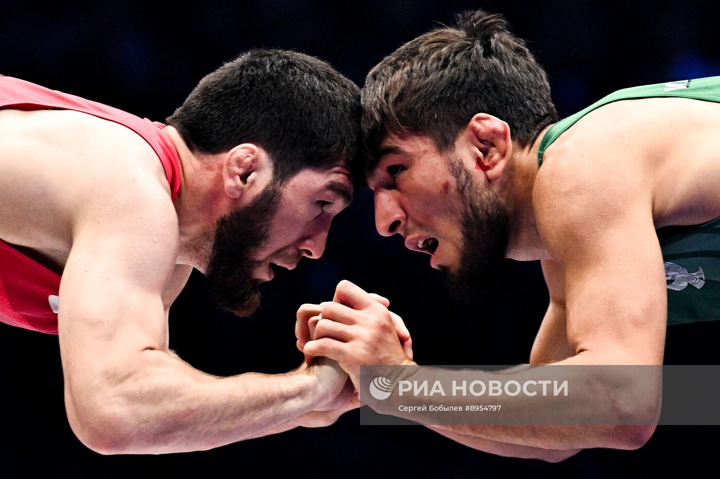 Чемпионат России по вольной борьбе среди мужчин