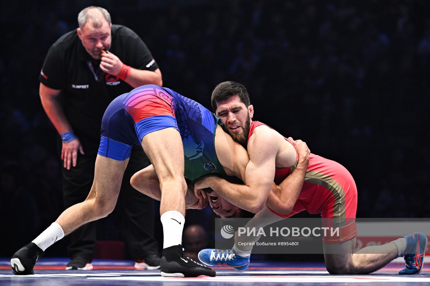 Чемпионат России по вольной борьбе среди мужчин