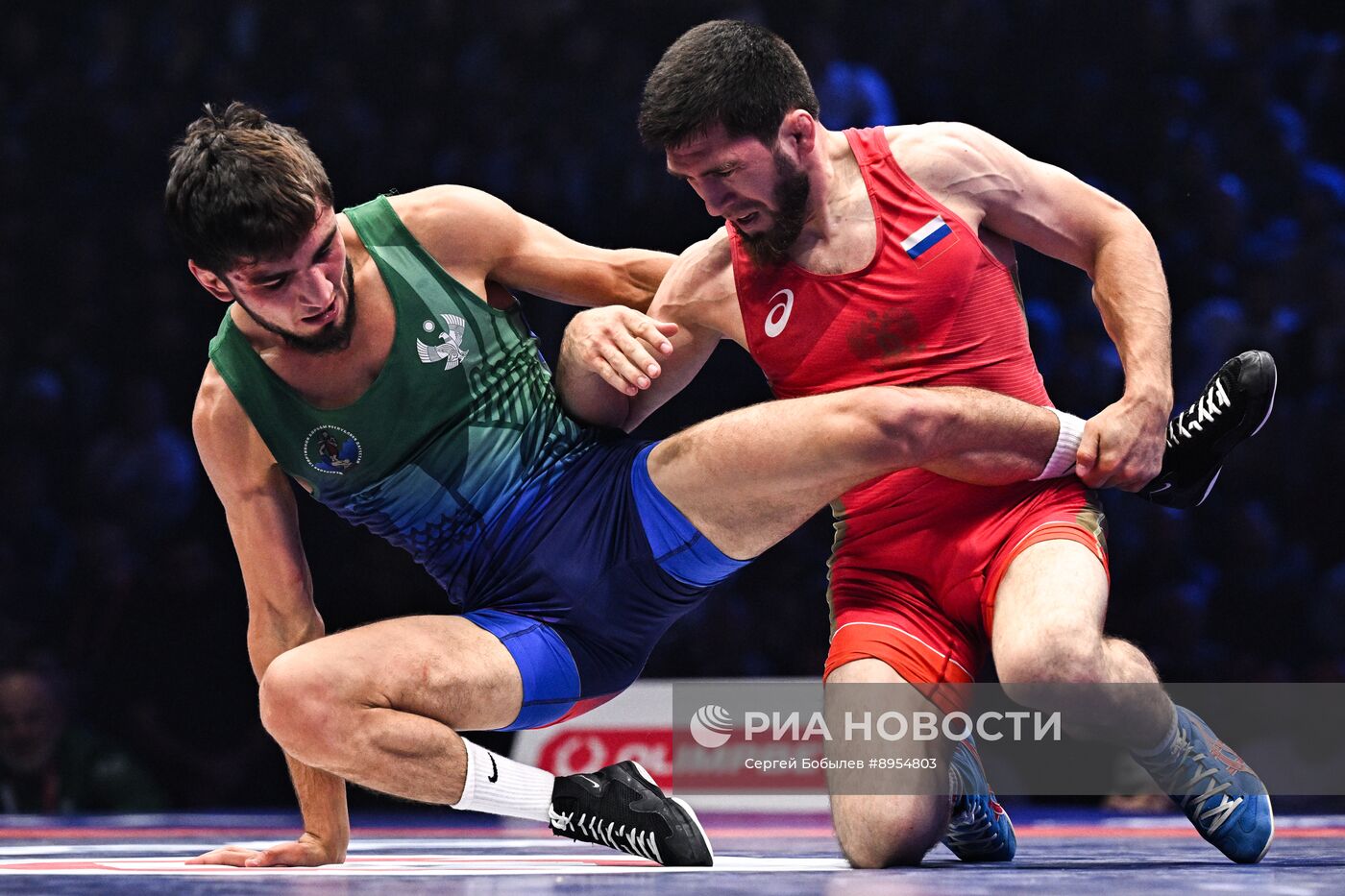 Чемпионат России по вольной борьбе среди мужчин