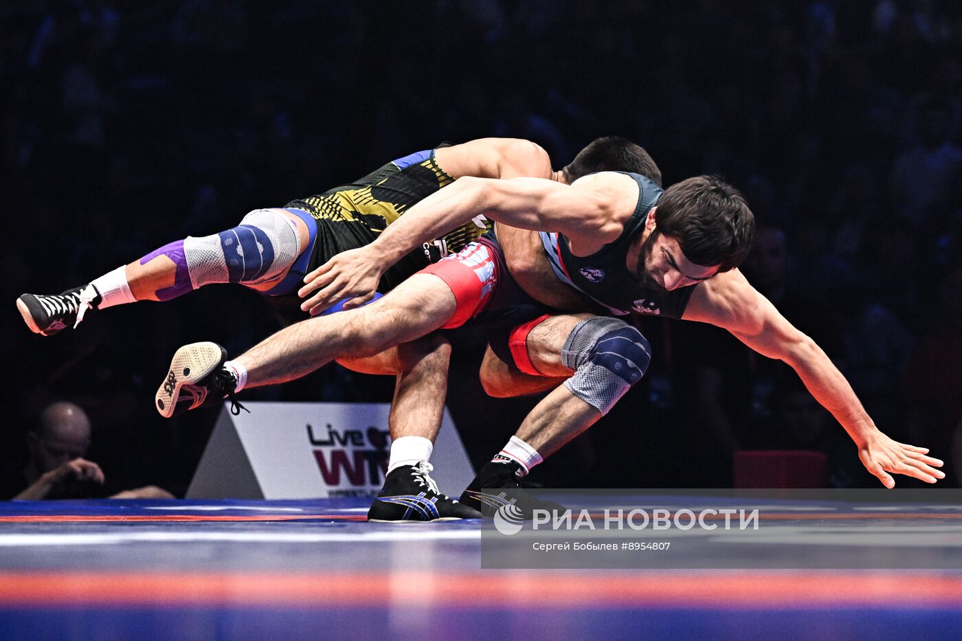 Чемпионат России по вольной борьбе среди мужчин