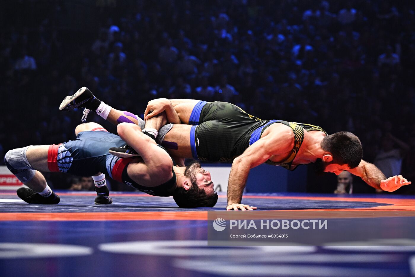 Чемпионат России по вольной борьбе среди мужчин