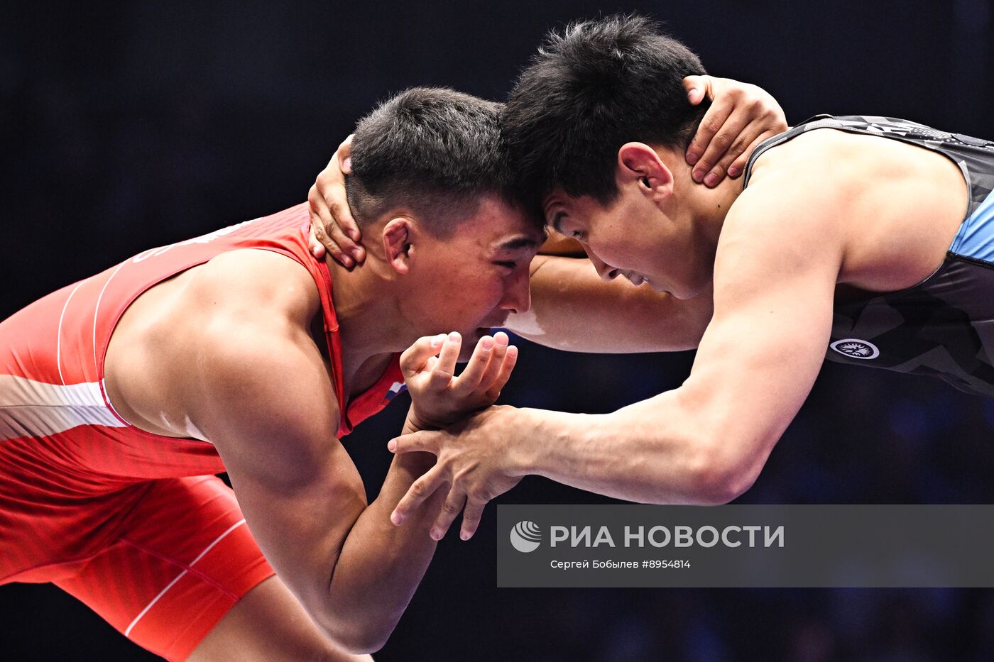 Чемпионат России по вольной борьбе среди мужчин