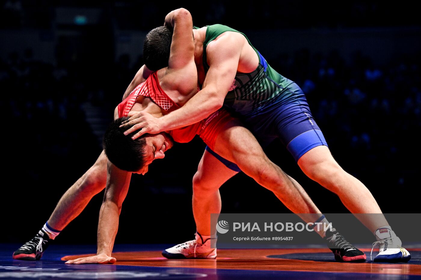 Чемпионат России по вольной борьбе среди мужчин