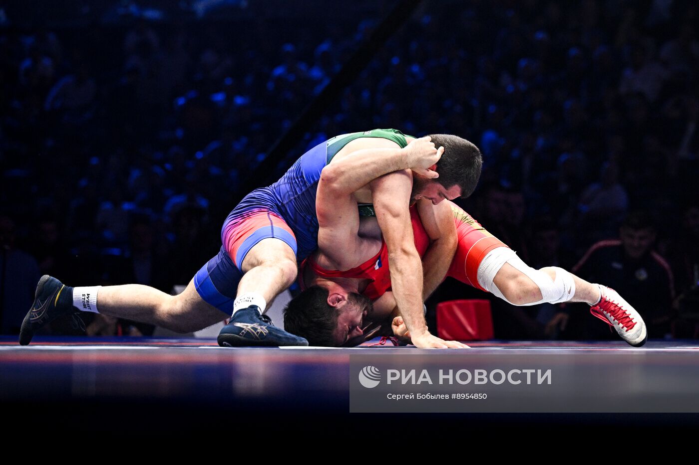 Чемпионат России по вольной борьбе среди мужчин