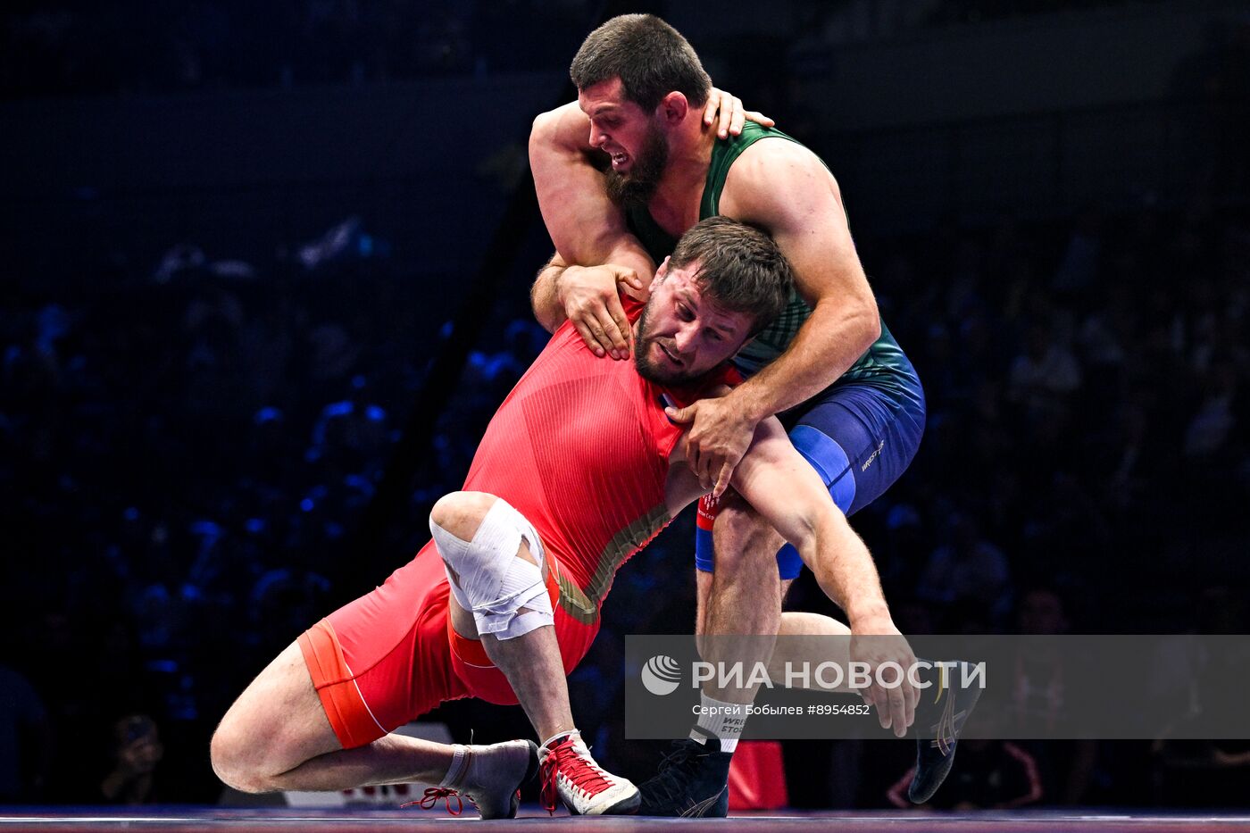 Чемпионат России по вольной борьбе среди мужчин