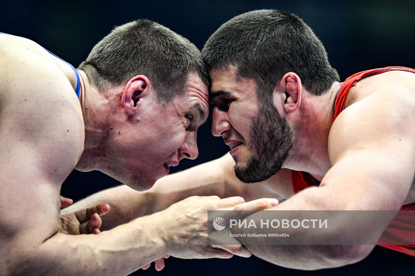 Чемпионат России по вольной борьбе среди мужчин