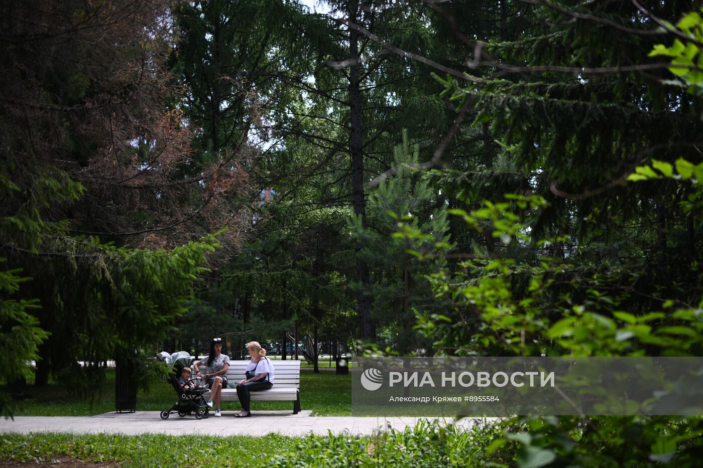 Лето в Новосибирске