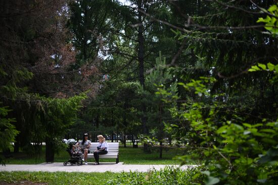 Лето в Новосибирске