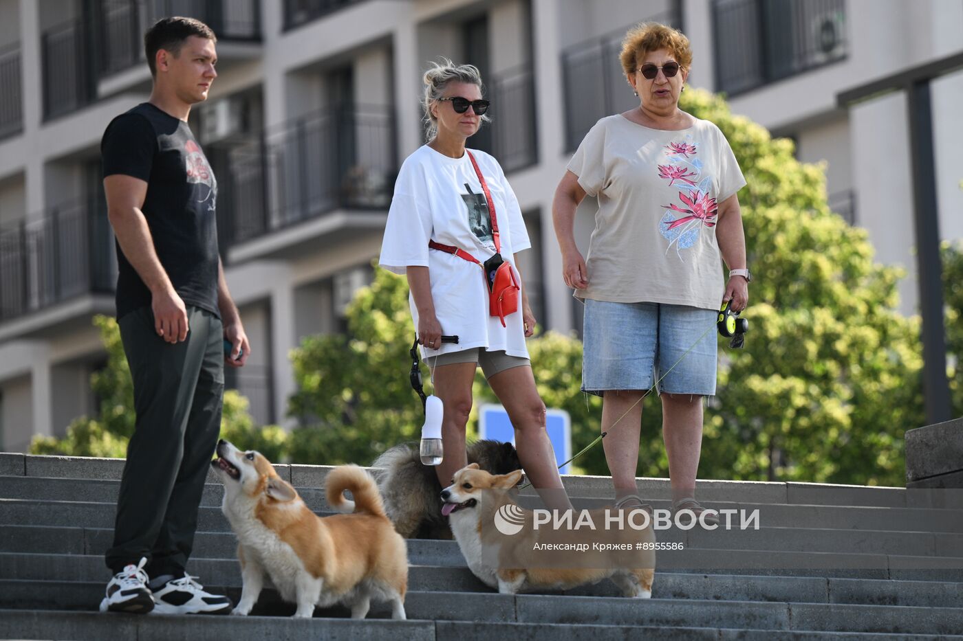 Лето в Новосибирске