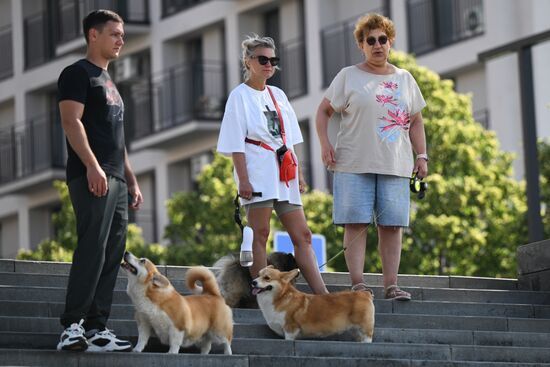 Лето в Новосибирске