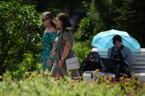 Лето в Новосибирске