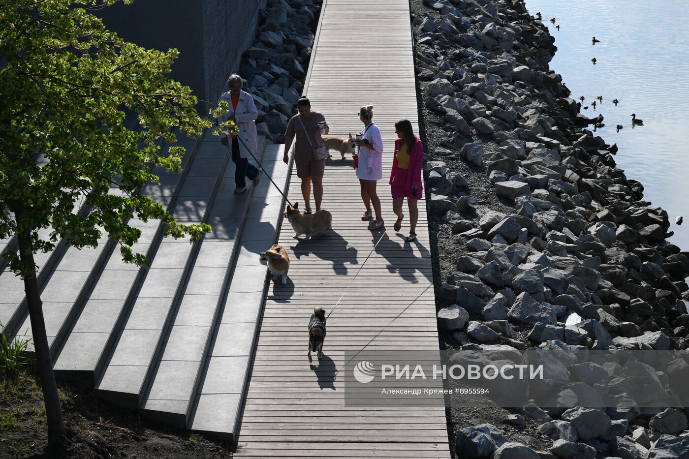 Лето в Новосибирске