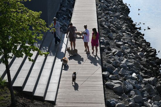 Лето в Новосибирске