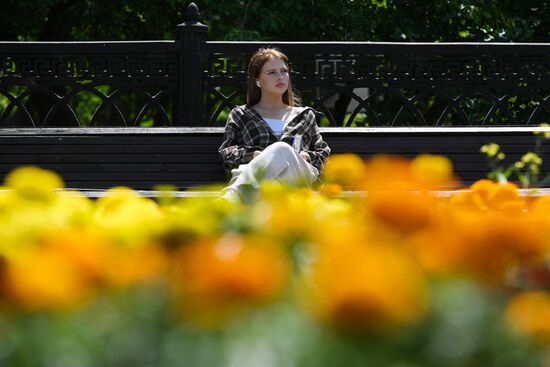 Лето в Новосибирске