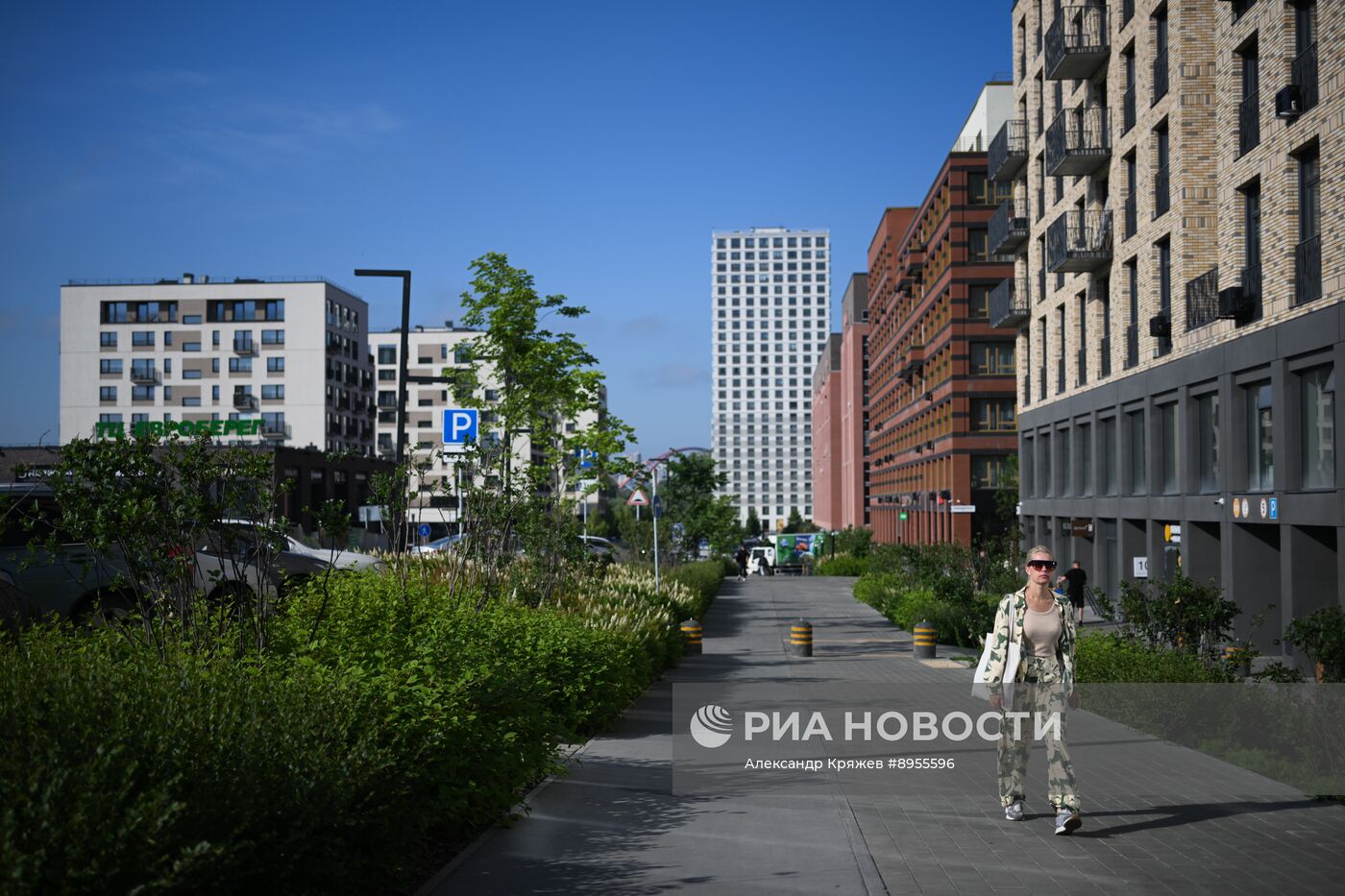 Лето в Новосибирске