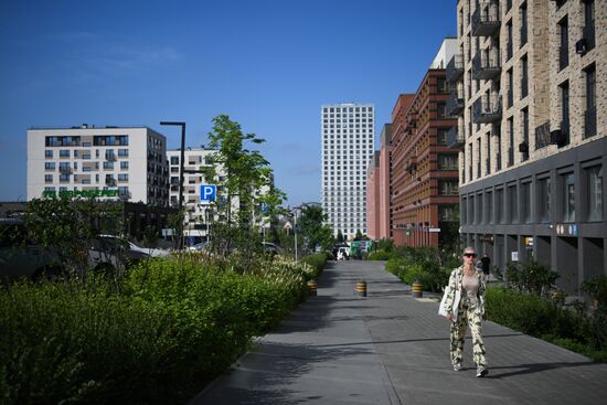 Лето в Новосибирске