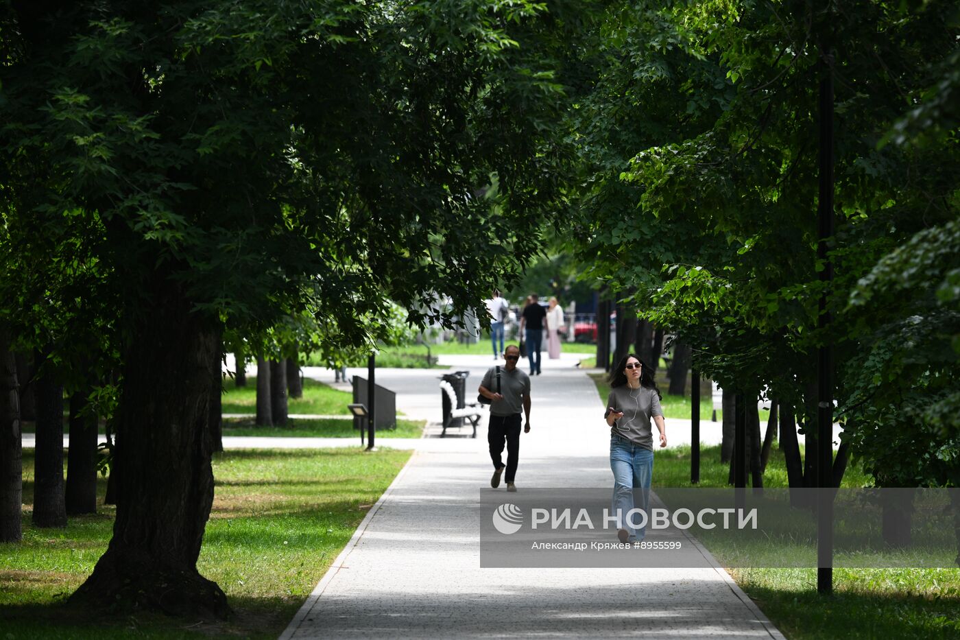 Лето в Новосибирске