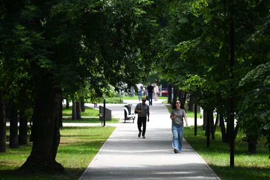 Лето в Новосибирске