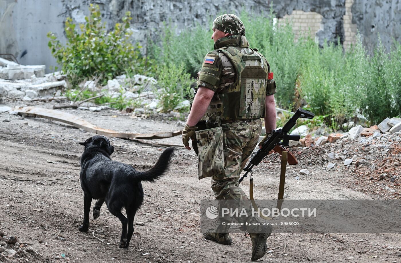 Фронтовые дороги СВО