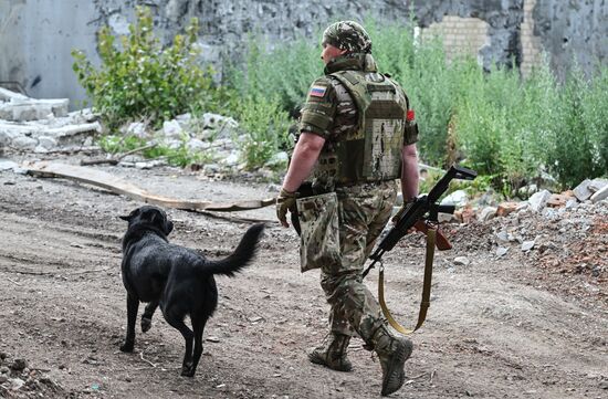 Фронтовые дороги СВО