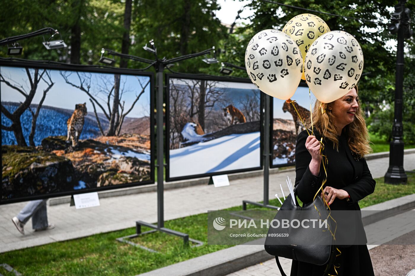 Выставка "Земля больших кошек" на Тверском бульваре