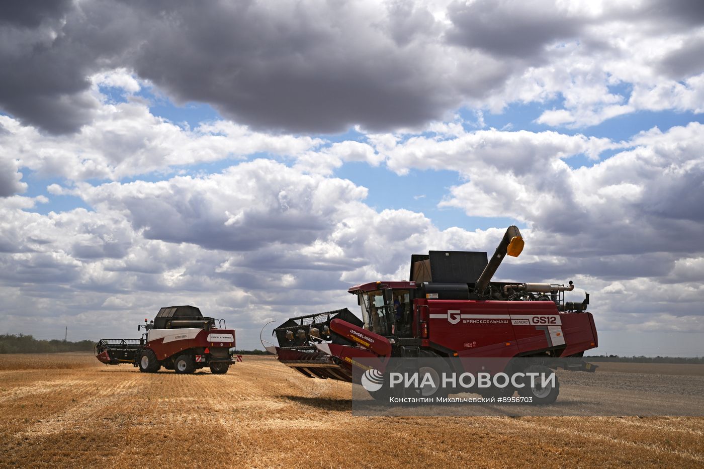 Уборка урожая пшеницы в Крыму