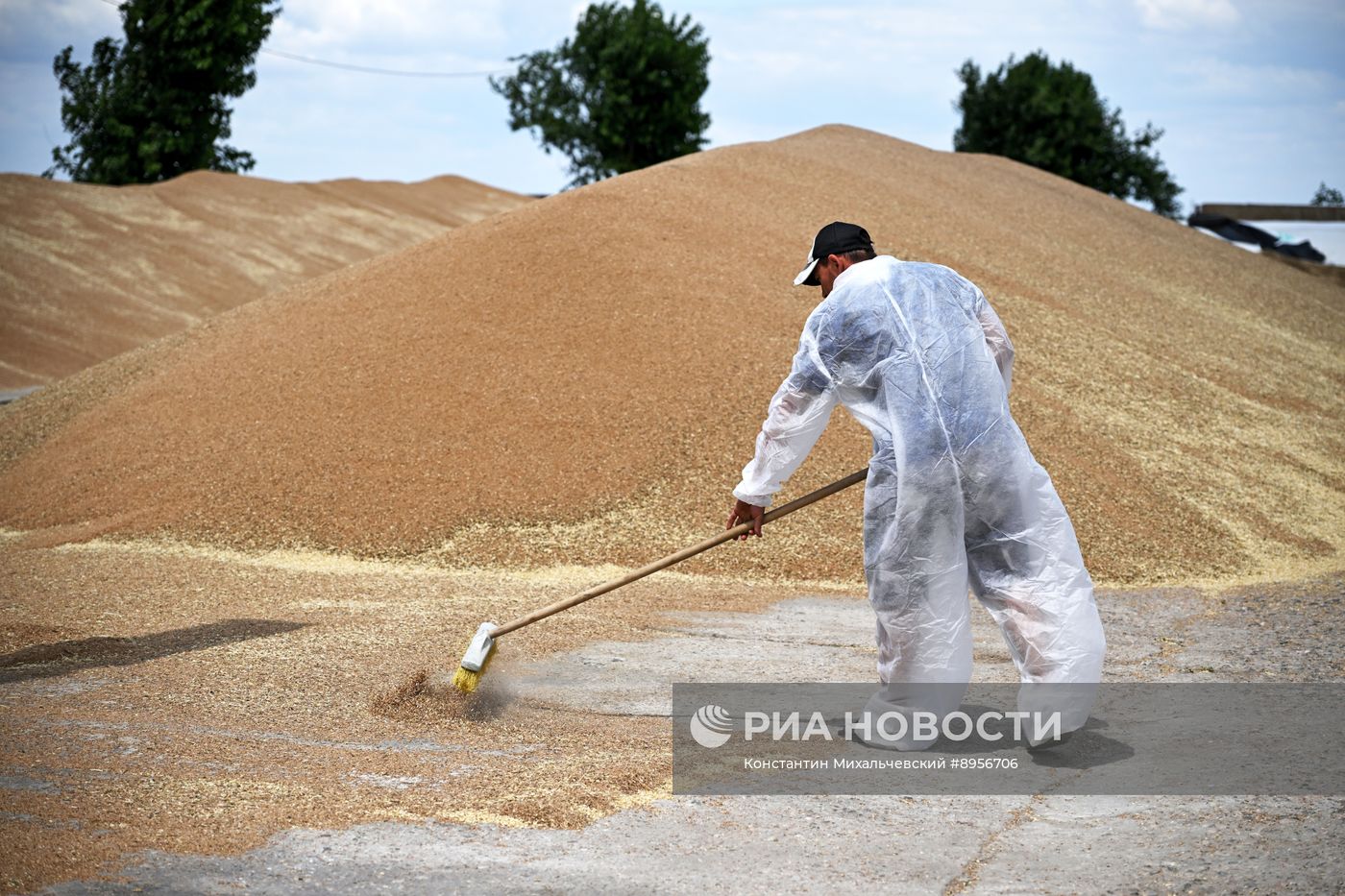 Уборка урожая пшеницы в Крыму