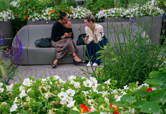Отдых в Санкт-Петербурге
