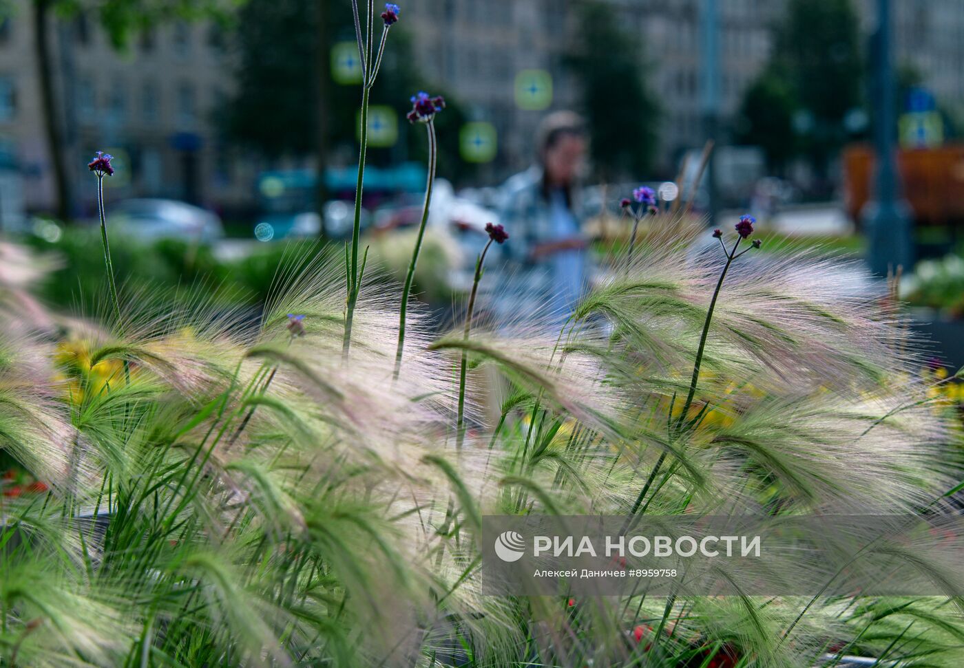 Отдых в Санкт-Петербурге