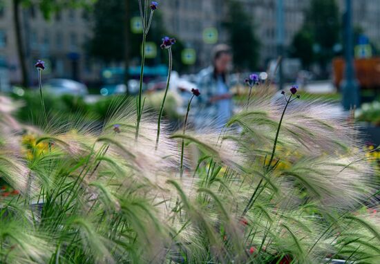 Отдых в Санкт-Петербурге