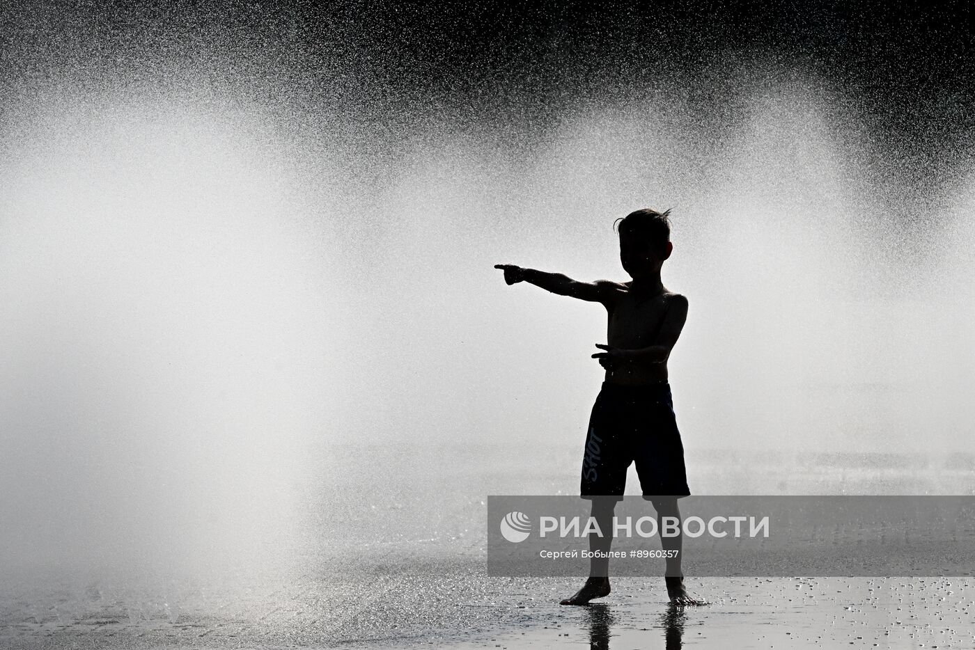 Жара в Подмосковье