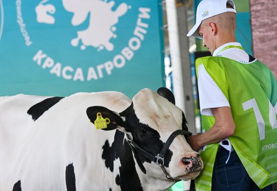 Выставка "Агроволга 2025" в Казани