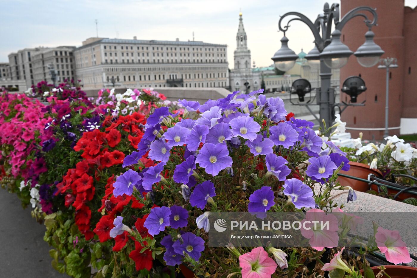 Ландшафтный фестиваль "Сады и цветы" в Москве