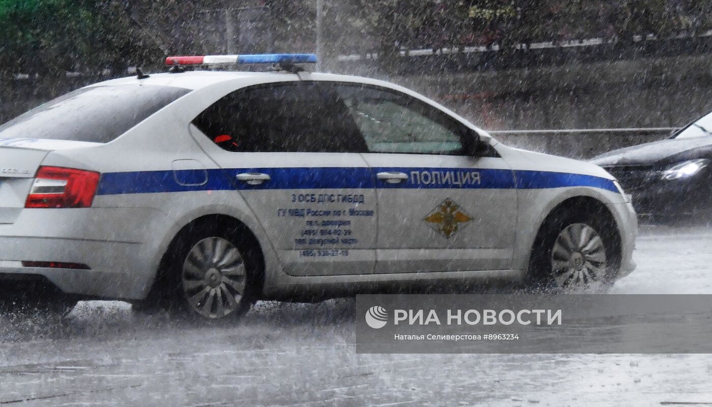 Дорожно-патрульная служба (ДПС)