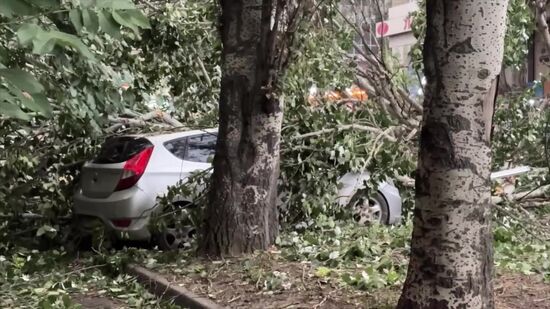 Последствия урагана в Донецке