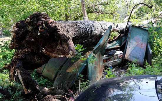Последствия урагана в Донецке