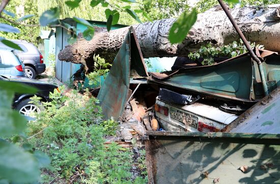 Последствия урагана в Донецке