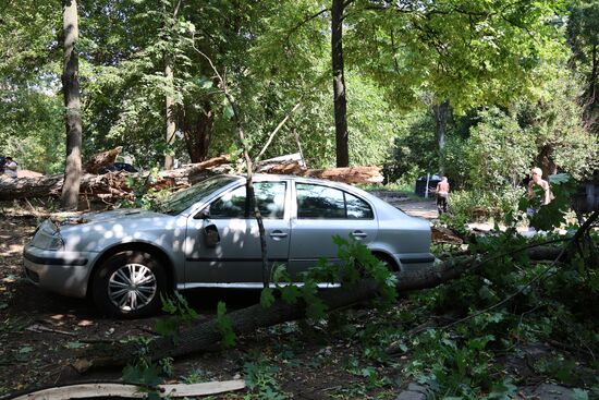 Последствия урагана в Донецке