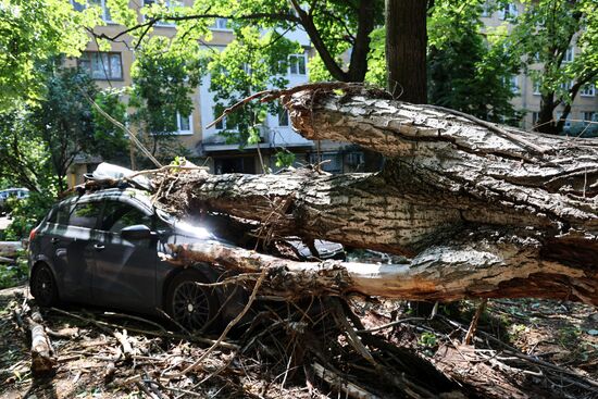 Последствия урагана в Донецке
