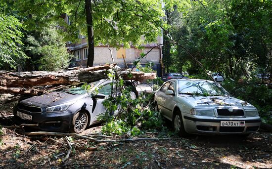 Последствия урагана в Донецке
