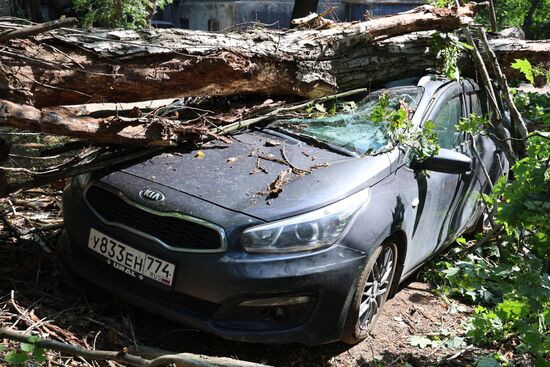 Последствия урагана в Донецке
