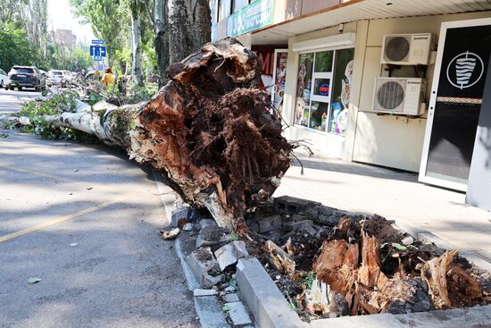 Последствия урагана в Донецке