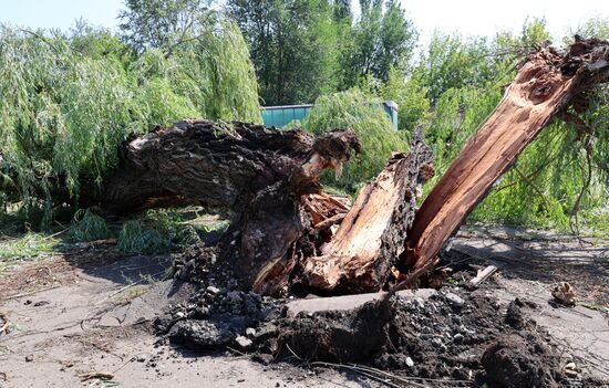 Последствия урагана в Донецке