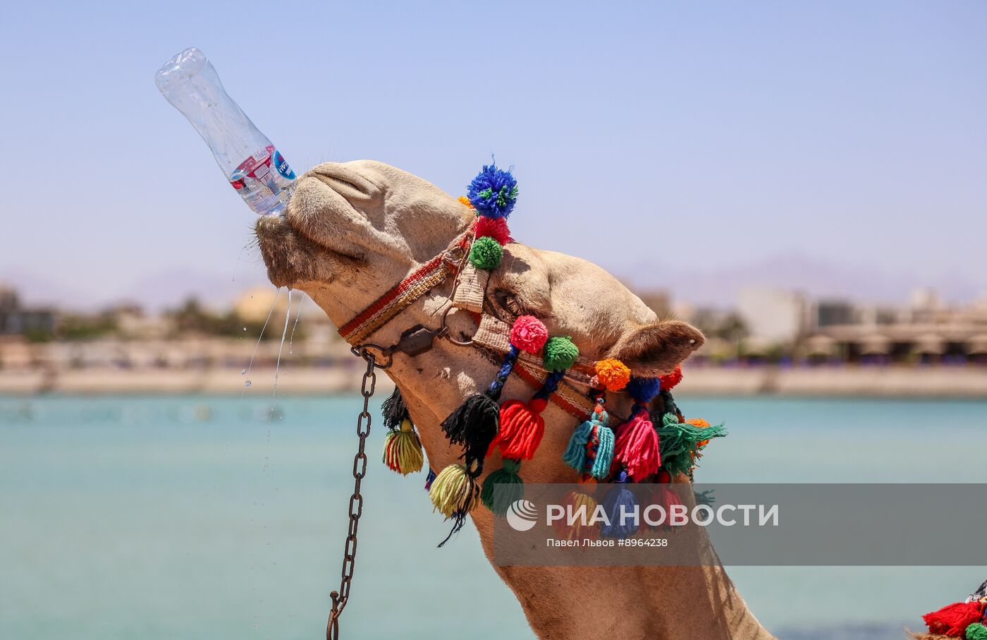 Туризм в Египте