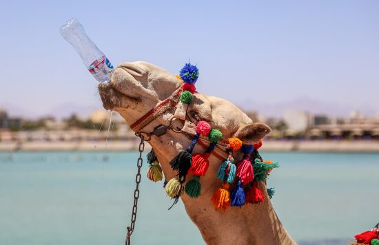 Туризм в Египте