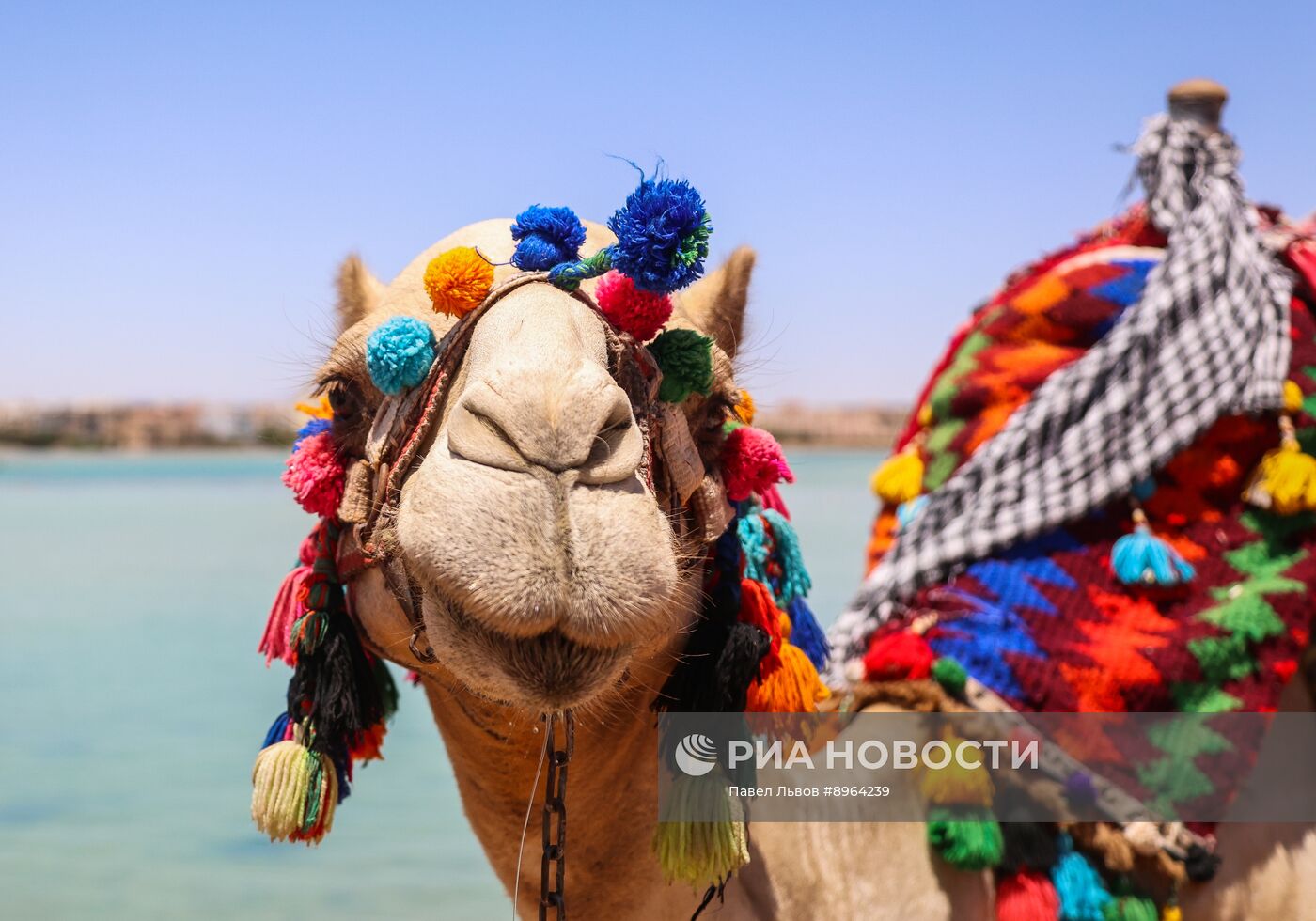 Туризм в Египте